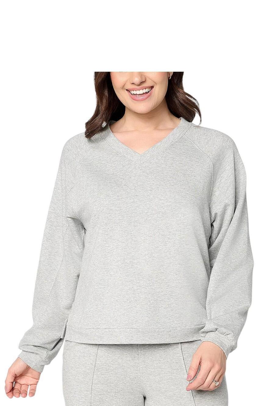 AnyBody Women's Cozy Knit French Terry V-Neck Top Heather Grey - Regular